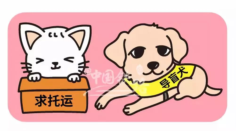 最新资讯 第130页