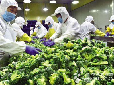 游戏专题 第110页