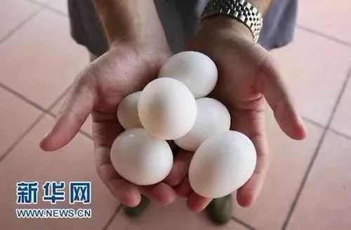 港澳新闻 第105页
