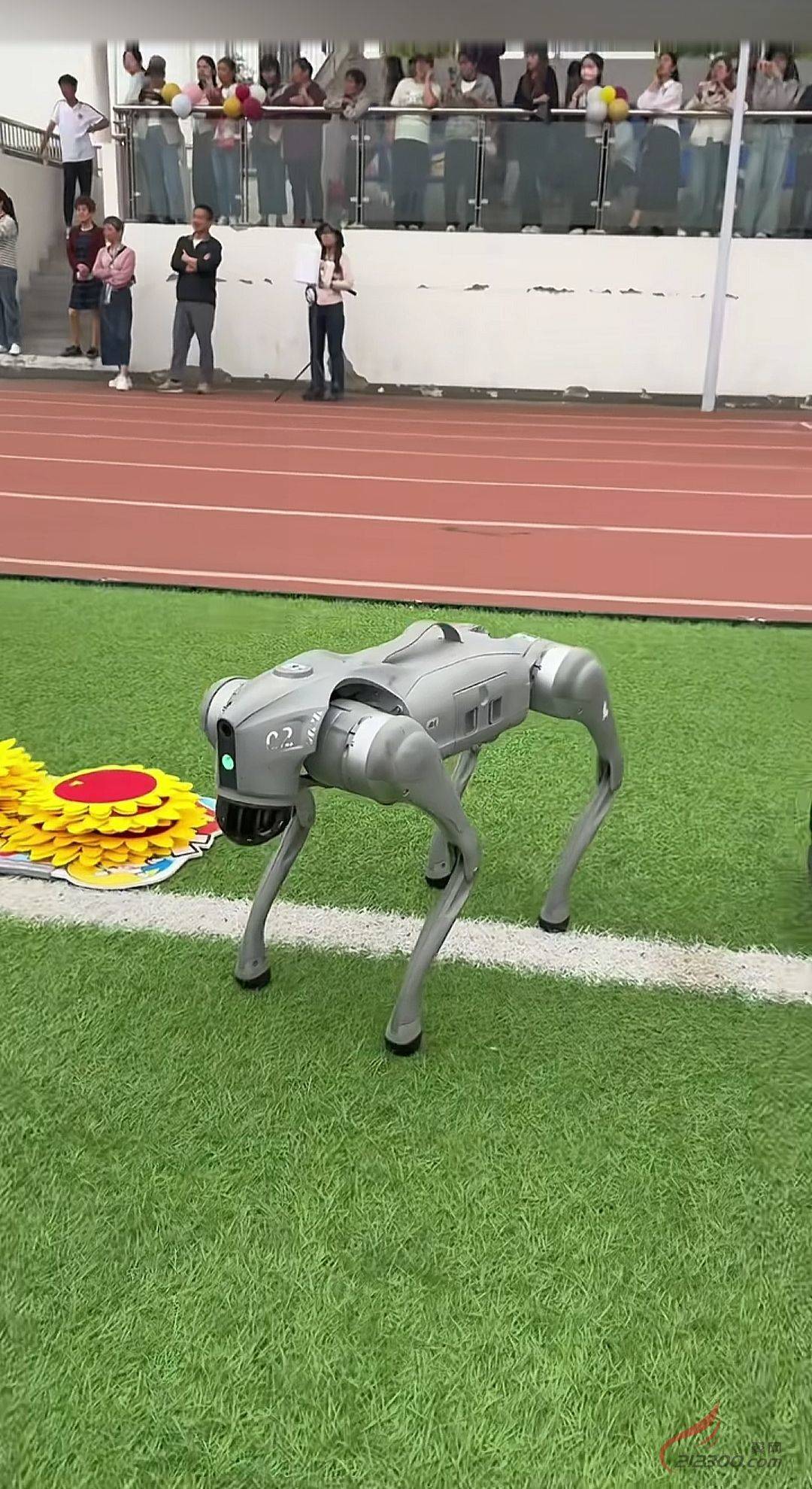 港澳新闻 第8页